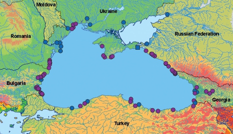 Cum arată locul unde Dunărea se varsă în Marea Neagră?